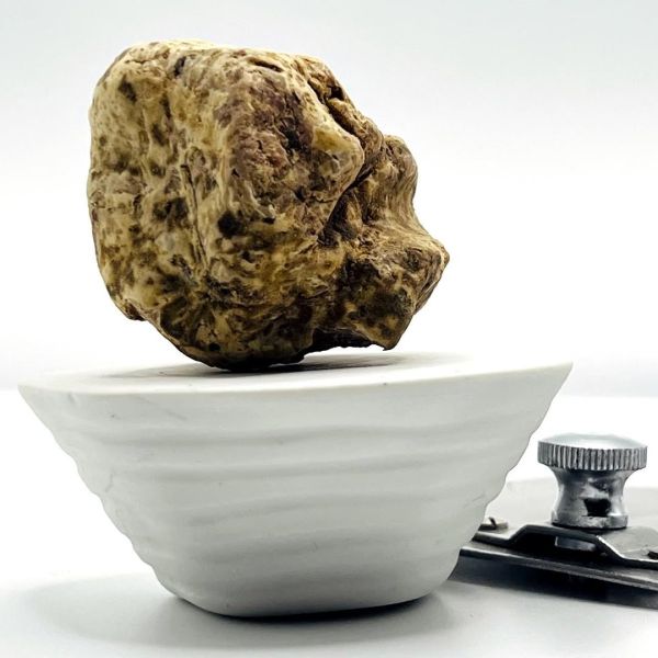 Anche all'Hotel ChristiAnia celebriamo la nostra cucina italiana!✨ At the Hotel ChristiAnia, we also celebrate our Itali...